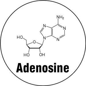 アデノシン